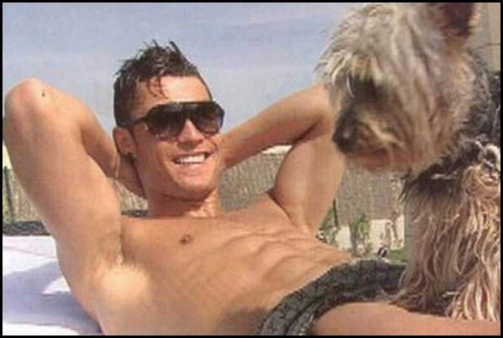 Cristiano Ronaldo también tiene un pequeño yorkshire llamado Abelhinha.