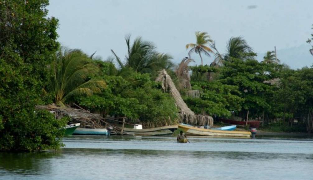 Una gran aventura le espera en la comunidad garífuna Miami, desde donde podrá hacer un paseo por la Laguna de los Micos a bordo de una lancha que ofrecen los lugareños para llegar a Punta Sal.