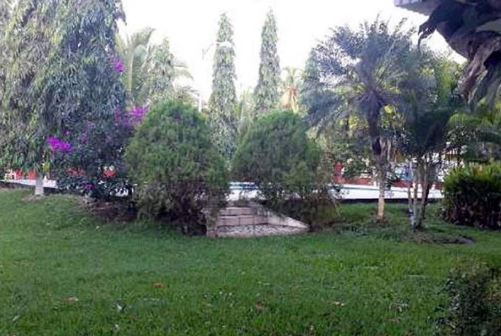 Las casas cuentan con amplios jardines.