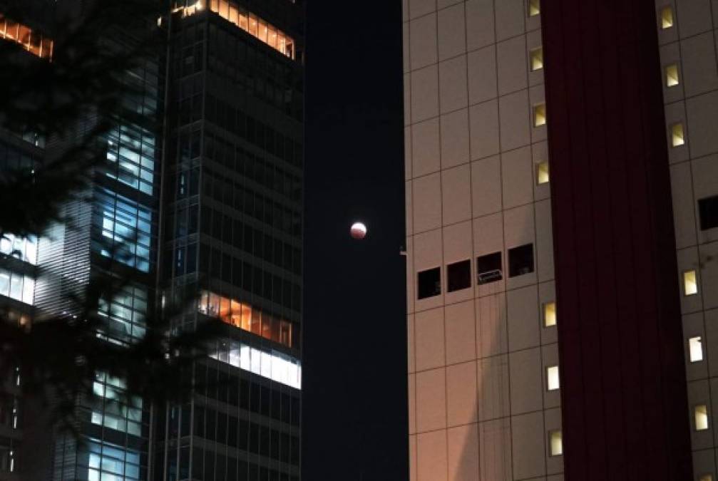 En el distrito de la moda y el entretenimiento de Roppongi de Tokio, los entusiastas estaban planeando llevar a cabo ejercicios de yoga bajo la luna en sangre. AFP
