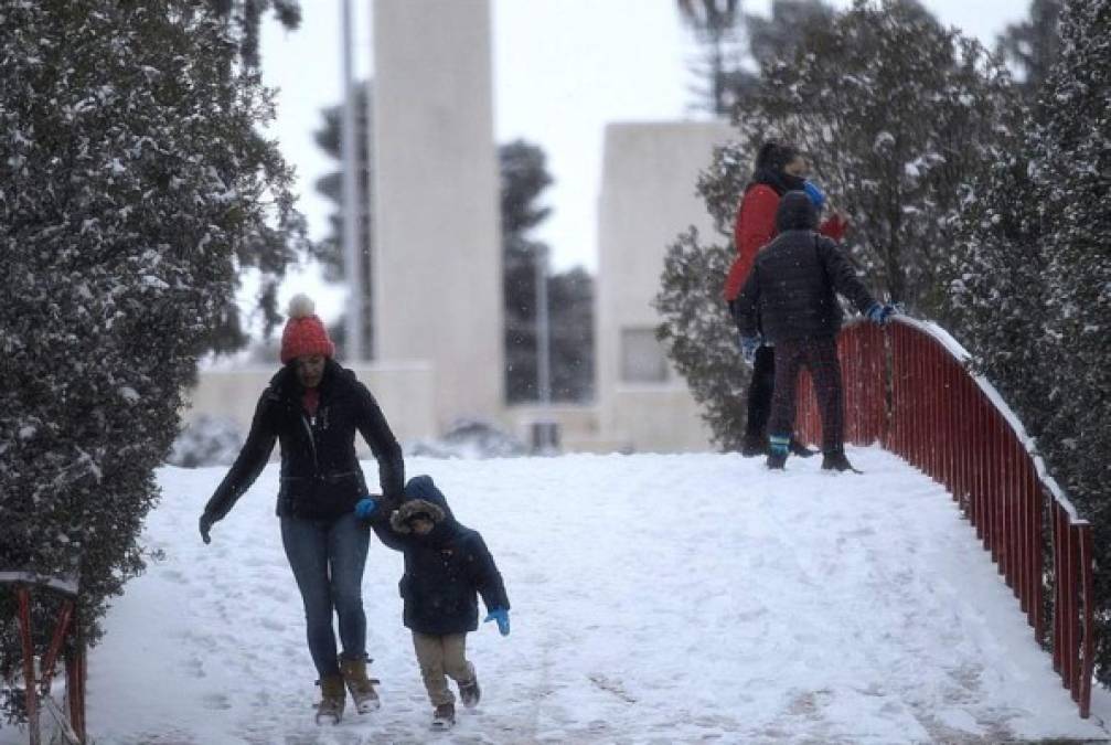 Pese a la emergencia, usuarios compartieron imágenes de zonas turísticas de Chihuahua y Nuevo León con las inusuales nevadas.