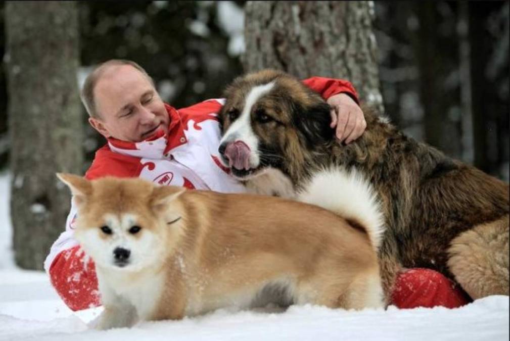 Putin es conocido también como el presidente más 'animal lover'.