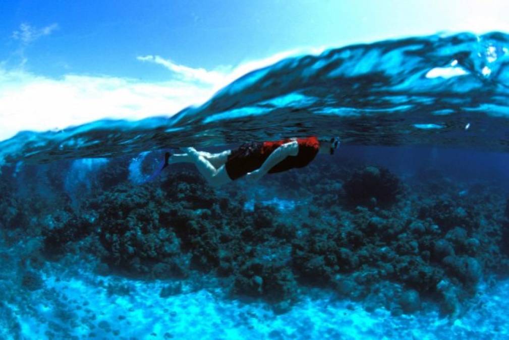 Los viajeros se sumergen a descubrir las bellezas escondidas bajo el agua en las playas de Roatán.