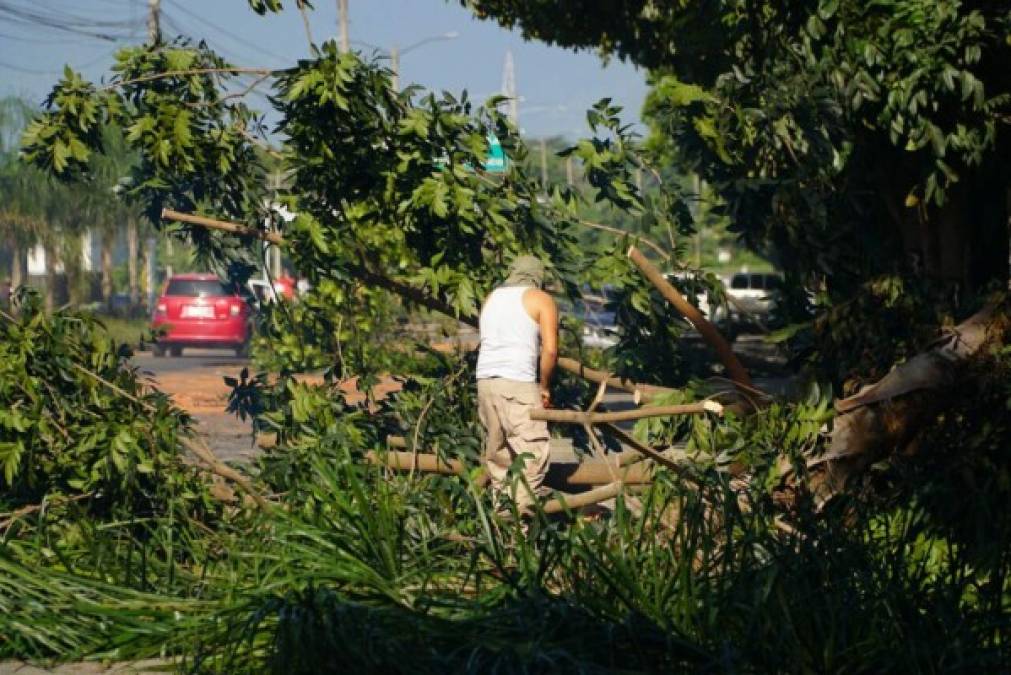 Foto: La Prensa