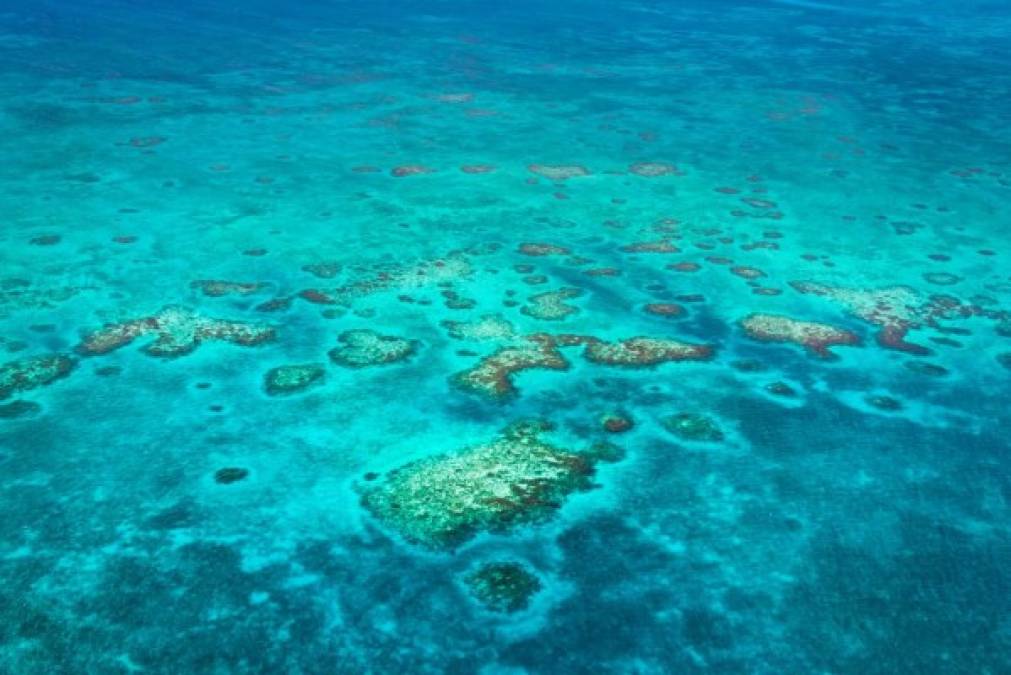 Ambergris Caye se encuentra en un lugar ideal para vacacionar. Es el número uno de los diez mejores destinos de Centroamérica, según tripadvisor.com.