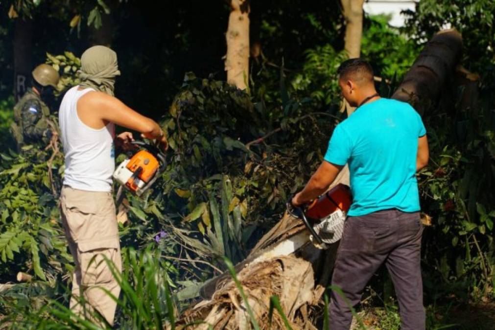 Con motosierras se trabaja en la remoción de árboles colocados en la vía para obstaculizar el paso.