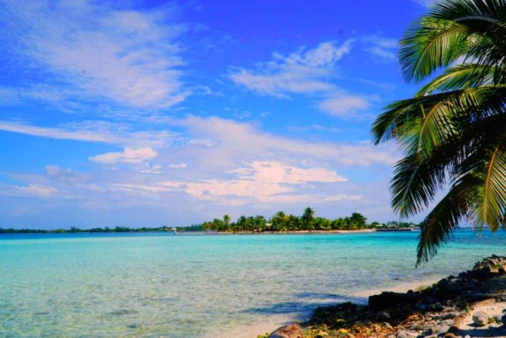 Playa water cay<br/>Es una playa privada desértica, junto a 14 islotes más, componen 'Los Cayos de Utila'. Una maravilla única en Honduras.