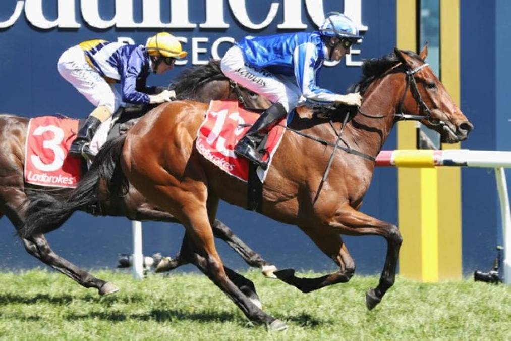 El ejemplar Temple Bel es montado por Jordan Childs y ambos se agenciaron el primer lugar del evento Alannah Hill, que pertenece a la competencia Melbourne Racing en Australia.