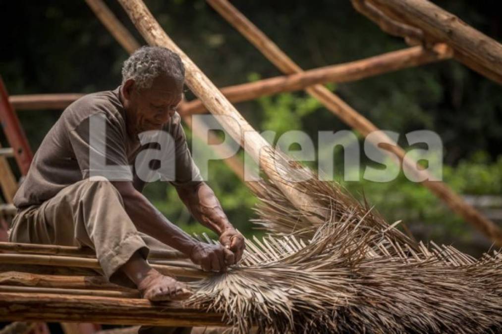 Representantes indígenas y afrohondureños consultados por Diario LA PRENSA señalan que los grandes problemas que afectan a estos pueblos son la pobreza, falta de acceso a educación y salud, escasez de oportunidades de trabajo y la lentitud, y en algunos casos estancamiento en la recuperación o titulación de sus tierras.<br/><br/>