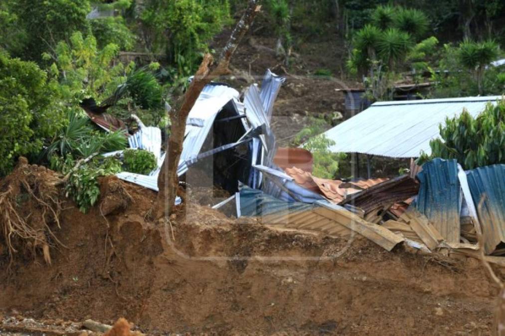 <br/>La Reina, aunque pertenece a Protección, Santa Bárbara, está más cerca de La Entrada, Copán, y para llegar al lugar solo se puede hacer en carros de doble tracción.