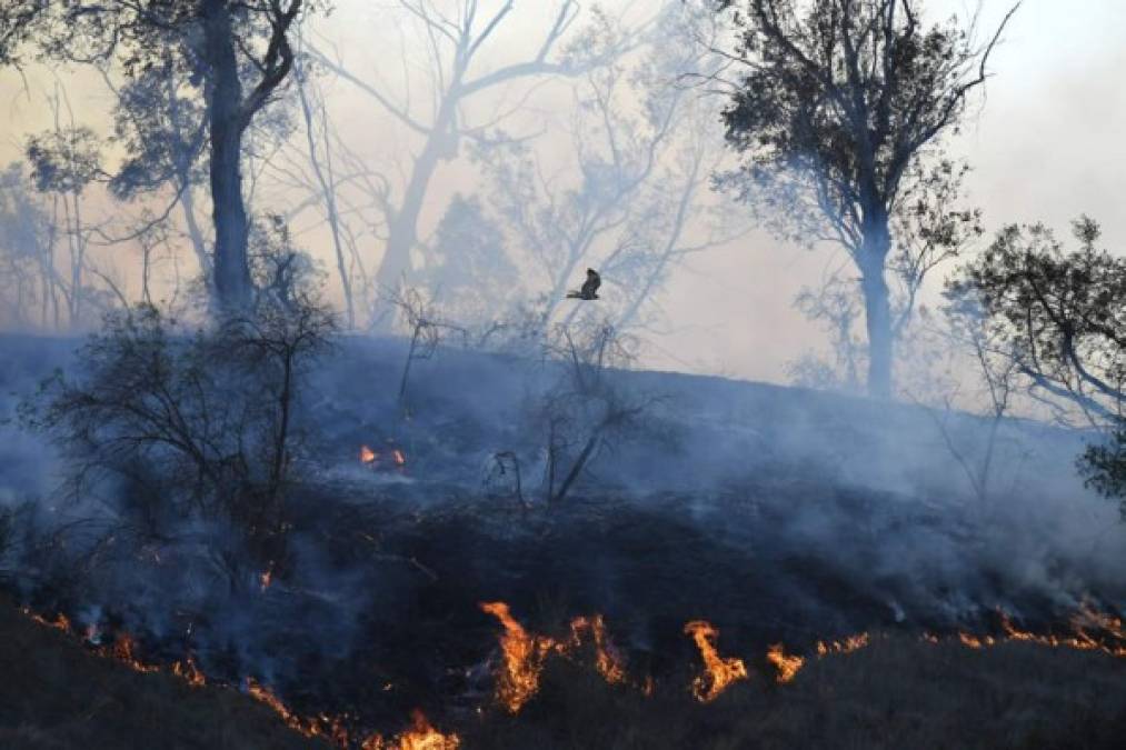 Foto: La Prensa