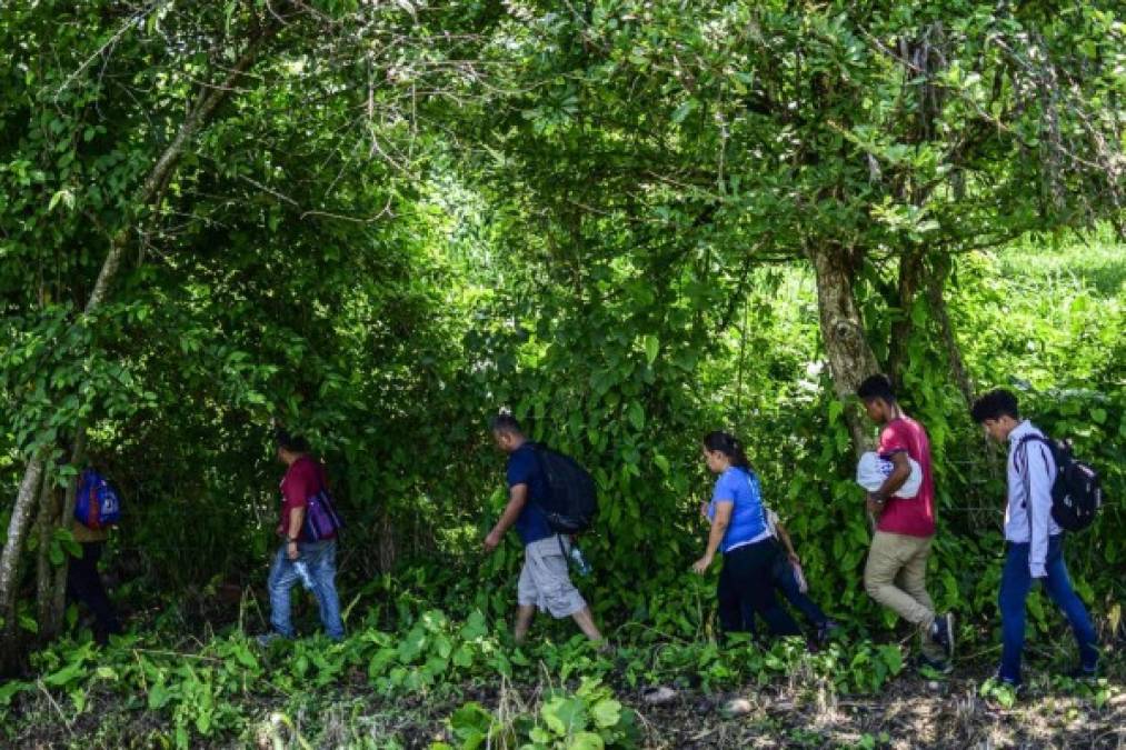 En la última ruta, los migrantes deben recorrer una región selvática para llegar a San Cristóbal de las Casas.