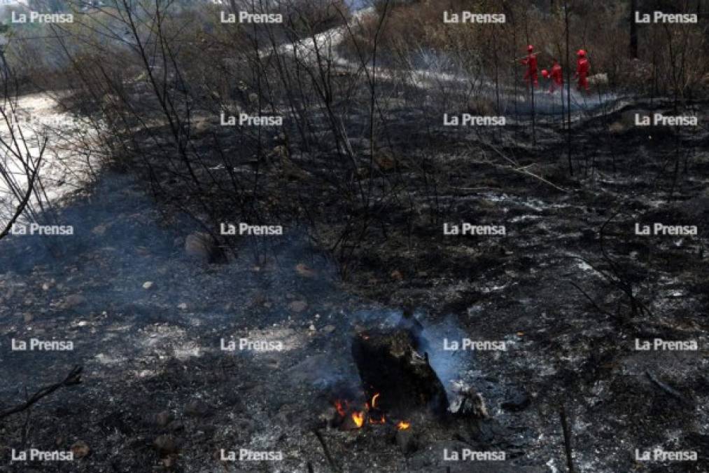 El siniestro inició en horas de la tarde 18 de marzo, ya por la noche el fuego se volvió incontrolable. Elementos del Cuerpo de Bomberos, Instituto de Conservación Forestal y Fuerzas Armadas trabajaron hasta el filo de la medianoche para intentar sofocar el incendio.