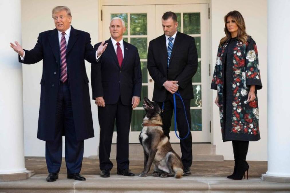 US President Donald Trump (L), Vice President Mike Pence (2nd L) and First Lady Melania Trump (R) stand with Conan, the military dog that was involved with the death of ISIS leader Abu Bakr al-Baghdadi, at the White House in Washington, DC, on November 25, 2019. (Photo by JIM WATSON / AFP)