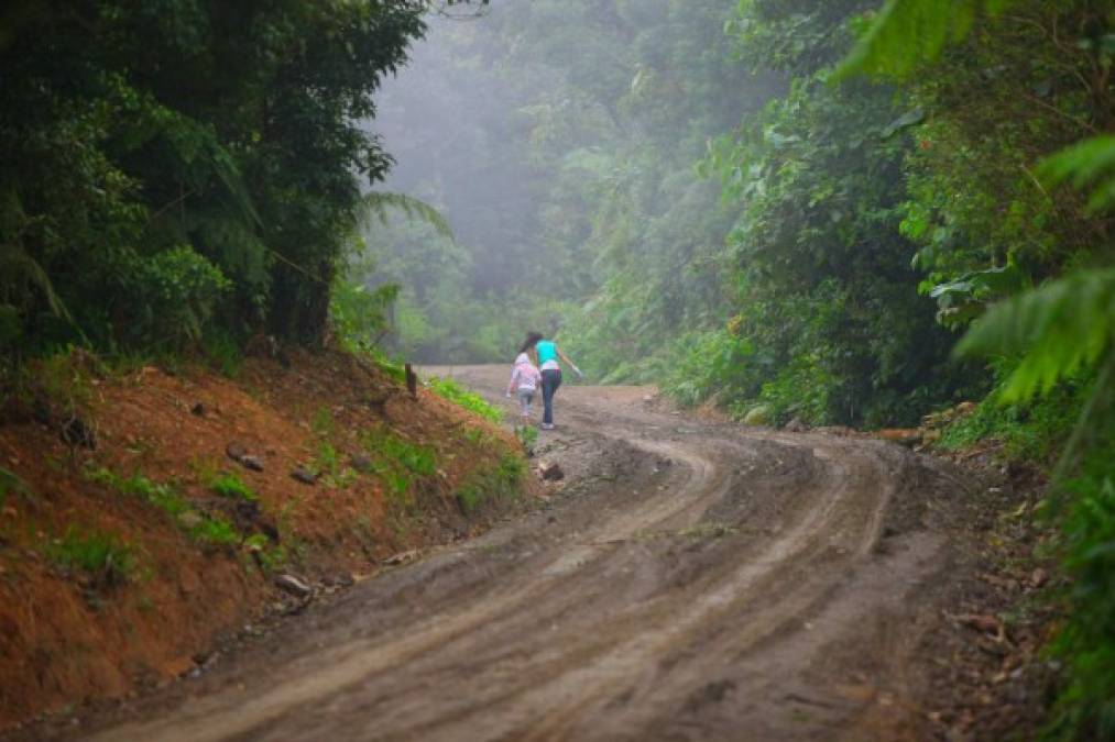 Todas sus calles son de tierra, en época de invierno es casi imposible el ingreso a las aldeas o núcleo del Merendón. Se recomienda usar carros con doble tracción.