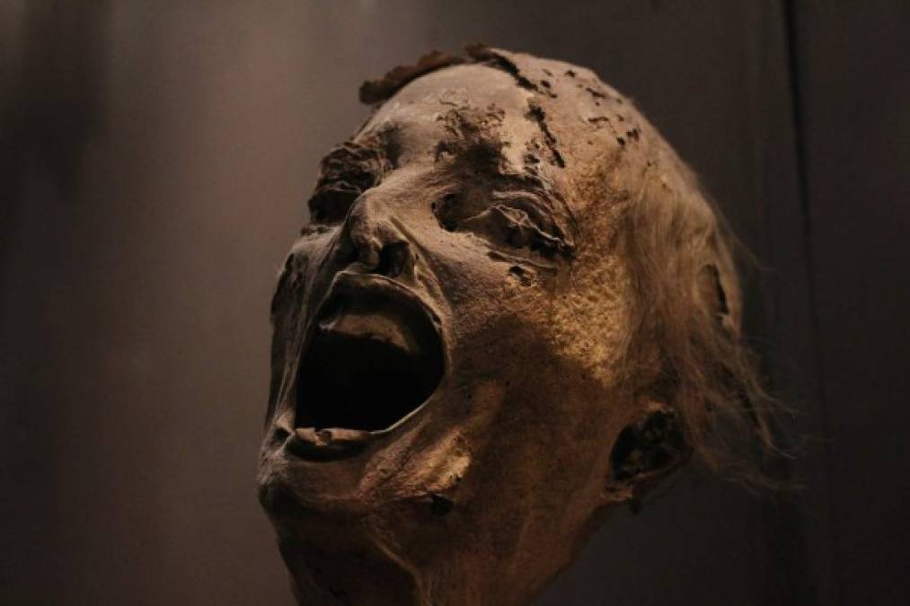 México. <br/>Momias en el cine. Una momia en el Museo de las Momias de Guanajuato. Ha participado en varias películas.