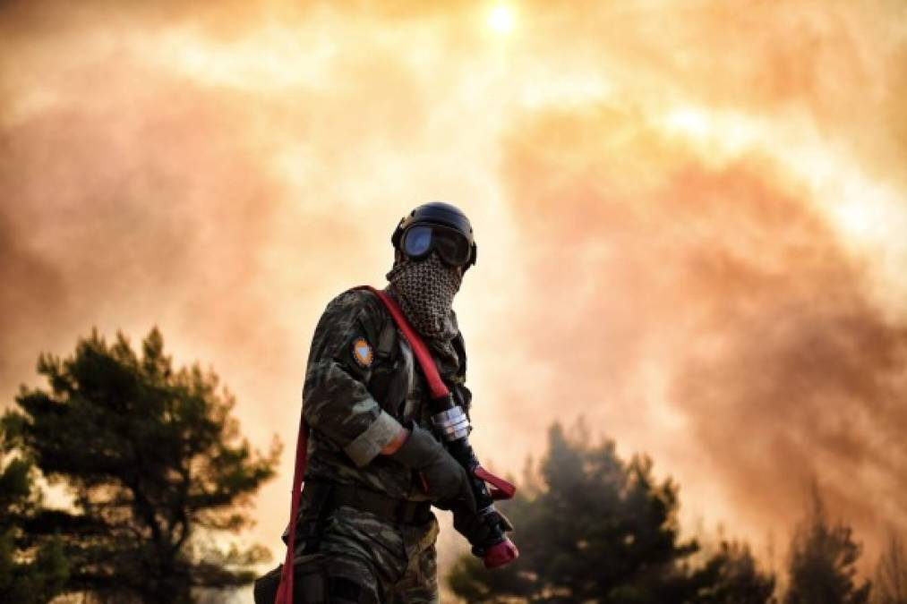 GRECIA. Batalla contra las llamas. Un bombero trabaja en la extinción de un incendio cerca de Atena, hace varios días luchan contra el fuego.