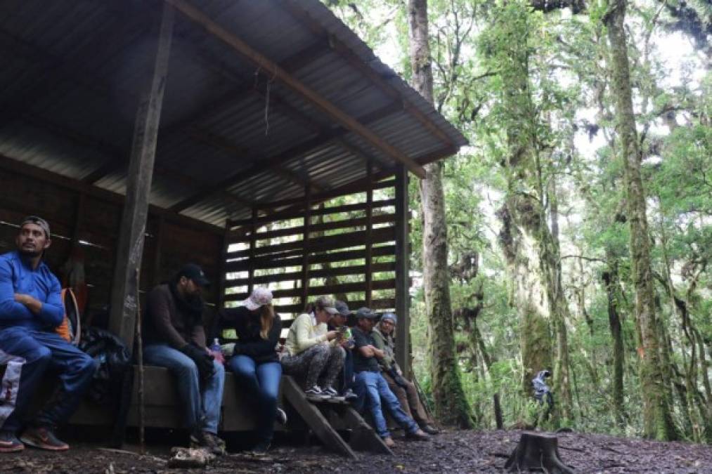 Cada año, más de 5,500 personas deciden visitar el Parque Nacional Celaque y en esta oportunidad acepté afrontar el arduo reto de ascender al cerro, cuya altura es de 2,849 metros sobre el nivel del mar, junto a otras 22 personas que, durante la caminata en la que prácticamente cruzamos Celaque, se convirtieron en la mejor compañía de aventura.