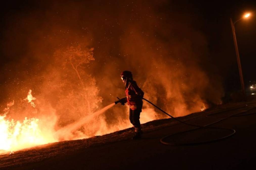 Unas 45 personas murieron en los incendios de Portugal y de la vecina región española de Galicia, atizados por fuertes vientos originados por el ciclón Ofelia.
