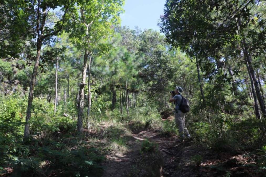 Subir “al cielo” fue posible con el apoyo de nueve mujeres y 14 hombres que son parte del equipo técnico de las mancomunidades Mapance y Colosuca y el Proyecto Gobernanza en Ecosistemas, Medio de Vida y Agua (Gema) de Usaid.