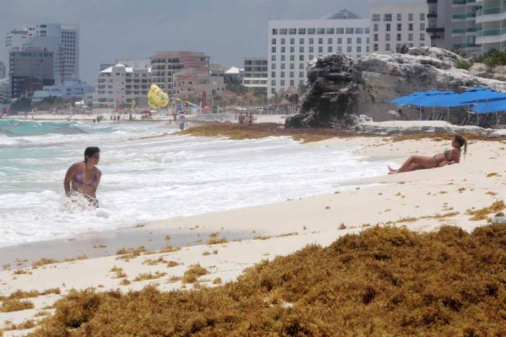 Los hoteles de la Riviera Maya y el Gobierno de Andrés Manuel López Obrador se buscan estrategias de largo plazo contra la invasión de sargazo que daña la industria turística en el caribe mexicano.