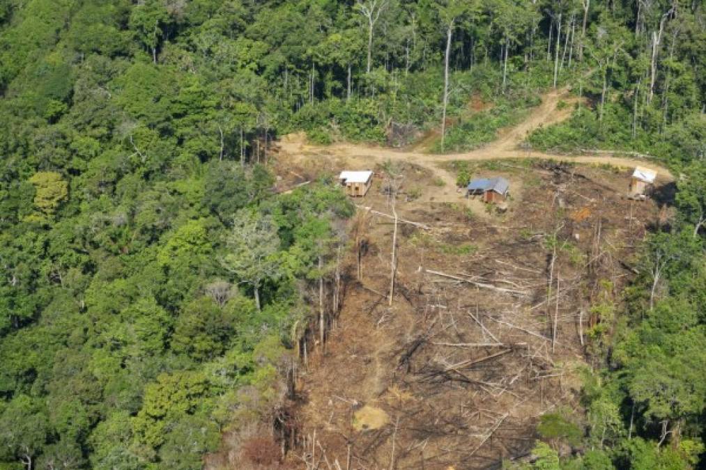 Se extiende sobre 7,4 millones de kilómetros cuadrados, que son equivalentes al 5 % de la superficie total de la Tierra y a casi el 25 % del continente americano. Un 60 % de ese territorio está en suelo brasileño.