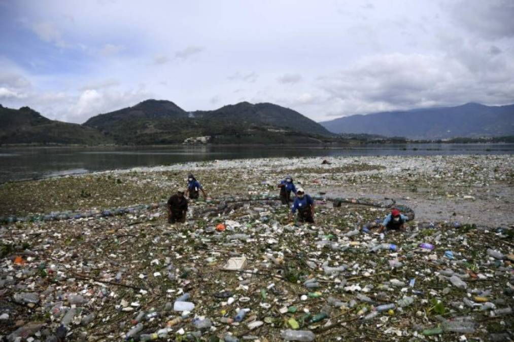 A pesar de la agresiva contaminación, el lago sigue 'vivo', indicó Mario Sigüenza, quien trabaja en la limpieza de la reserva natural.<br/><br/>'Acá tenemos diferentes especies y variedad de peces, y aves migratorias como las garzas y patos, el lago lo tenemos vivo, hay gente que dice que está muerto, pero no es así', aseguró.