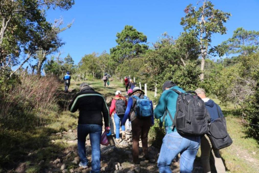 El Parque Nacional Celaque tiene una diversidad de flora y fauna, que lo hacen un lugar mágico.