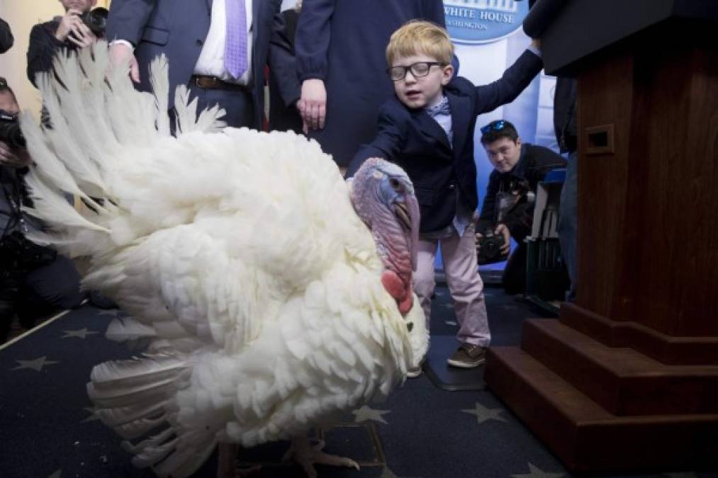 Huck, el hijo de la portavoz de la Casa Blanca Sarah Huckabee Sanders, posa junto a uno de los pavos indultados.