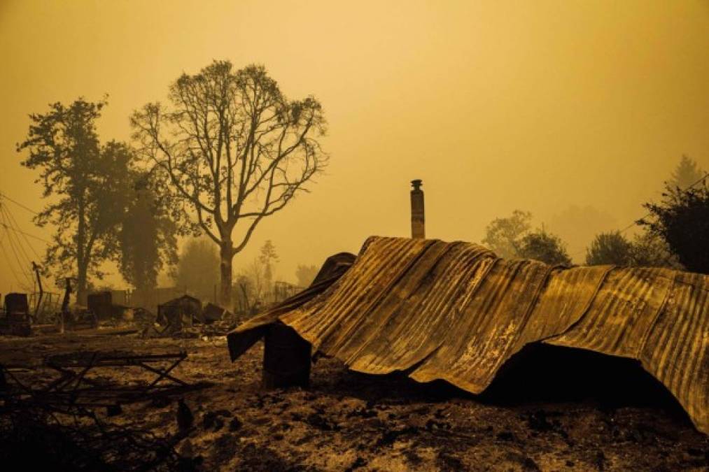 En el vecino estado de Oregón, más de 500.000 personas también han tenido que dejarlo todo para huir de las 360.000 hectáreas presas de las llamas, algo nunca visto hasta ahora.