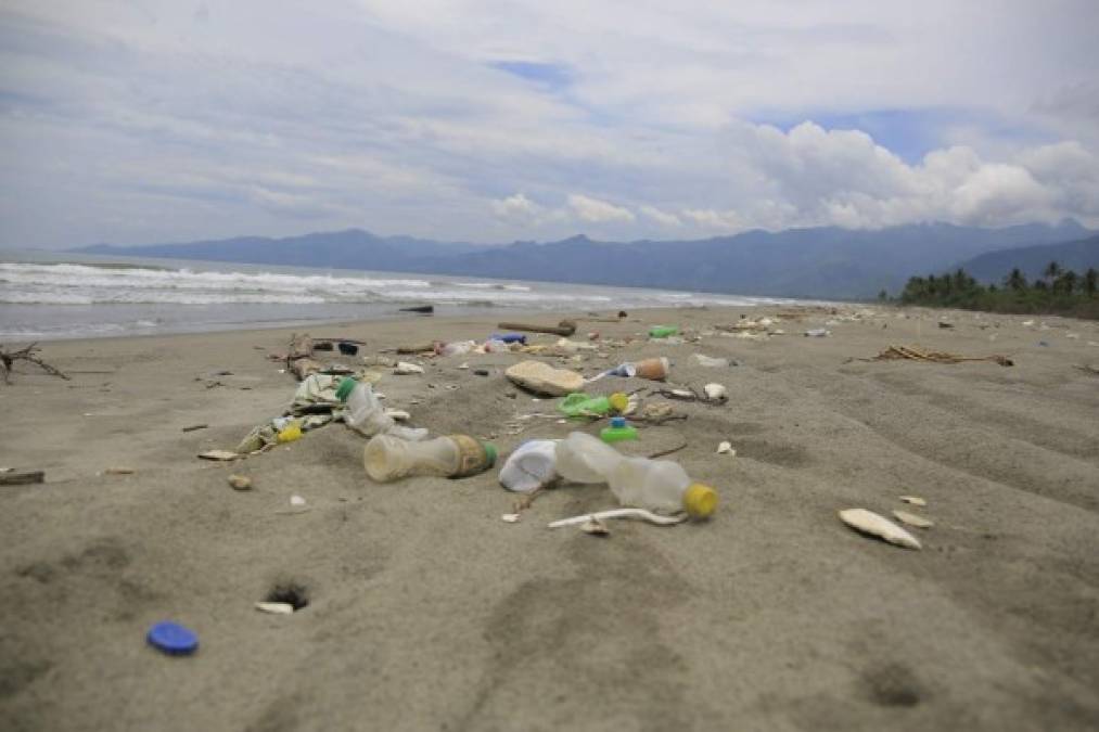 En la actualidad se gastan cerca de L50,000 en esa labor.“Ha bajado la situación de la basura, pero estamos a la expectativa de lo que pueda pasar con las precipitaciones de la temporada lluviosa, que podrían arrastrar contaminantes. Las biobardas están en buen estado”, finalizó.