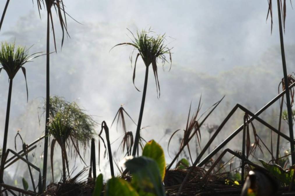A bed of smoke is seen over the Jucutuma Lake, in San Pedro Sula, Honduras, on September 1, 2019. - Honduras declared a state of emergency on September 5 due to severe drought that is affecting the main cities of the country. (Photo by Orlando SIERRA / AFP)