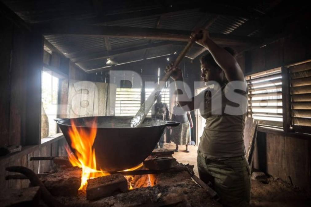 Gonzales agregó, que para que Honduras se desarrolle con plenitud se debe mejorar las condiciones de vida de indígenas y afrohondureños.