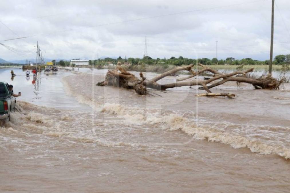 Foto: La Prensa