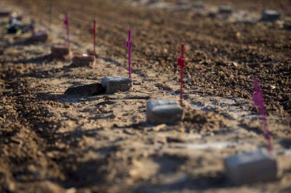 En este cementerio, ubicado en la frontera entre San Diego y Tijuana, descansan los restos de los indocumentados que nunca fueron identificados.
