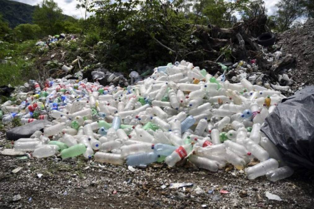 Los funcionarios ambientales aseguran que con la pandemia de la covid-19 han visto un incremento de desechos de productos utilizados como medida de protección.