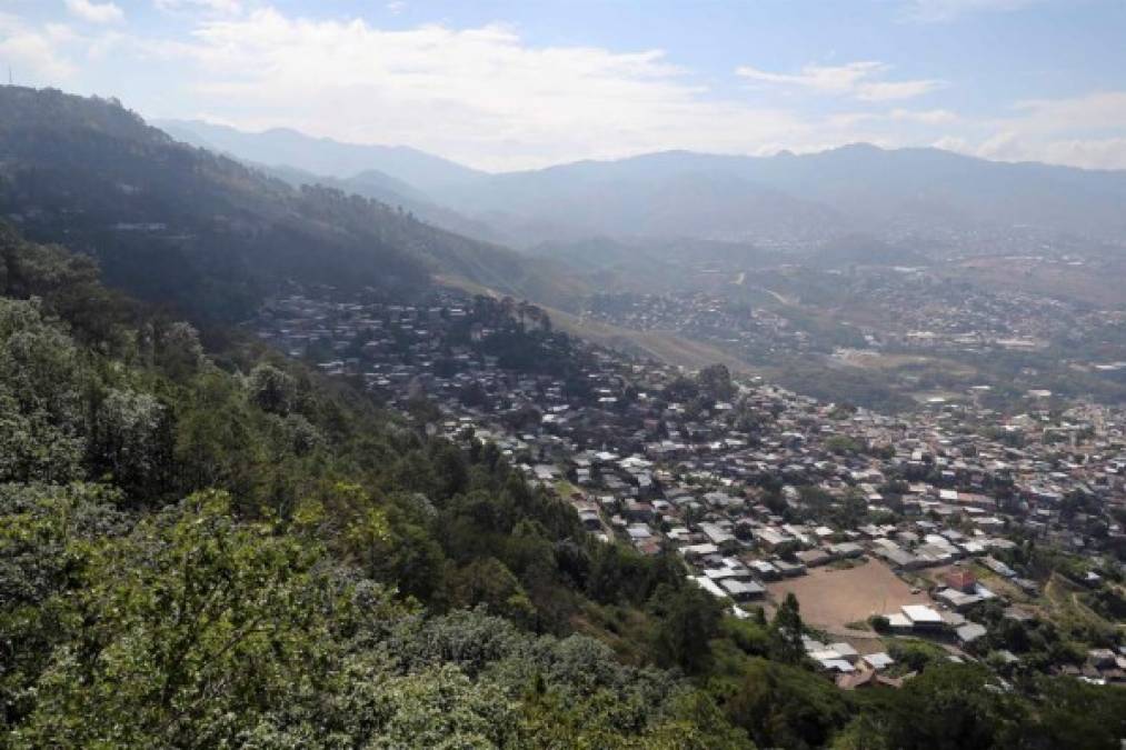 Montañas que en el reciente pasado estaban cubiertas de pino o árboles de hoja ancha, ahora lucen despobladas y en muchos casos sirviendo para cultivos agrícolas y alimentación del ganado.