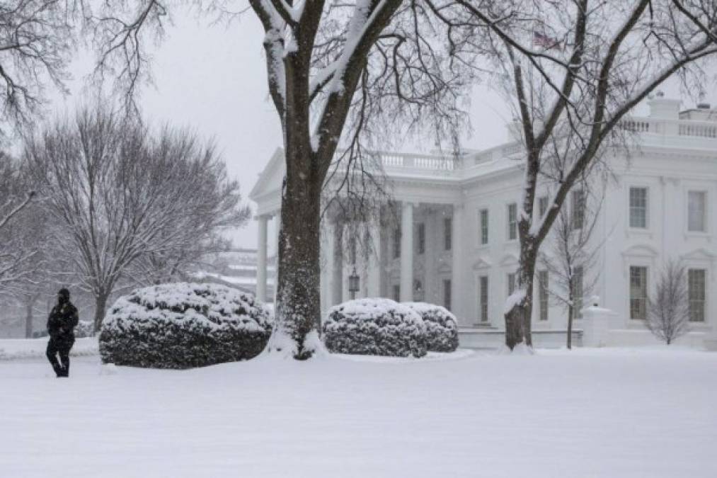 La Casa Blanca amaneció cubierta de nieve. Los agentes del Servicio Secreto desafían temperaturas bajo cero para resguardar al presidente Donald Trump que este lunes viajó a Maryland pese al temporal.