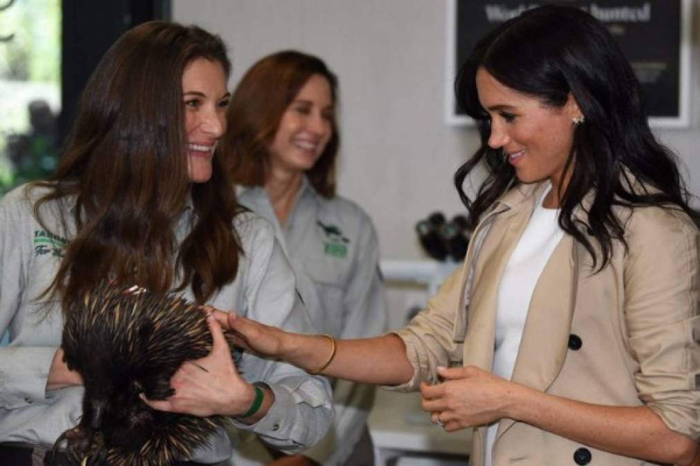 Y otros animales de la región. En foto Meghan conoce a un osos hormiguero espinoso.