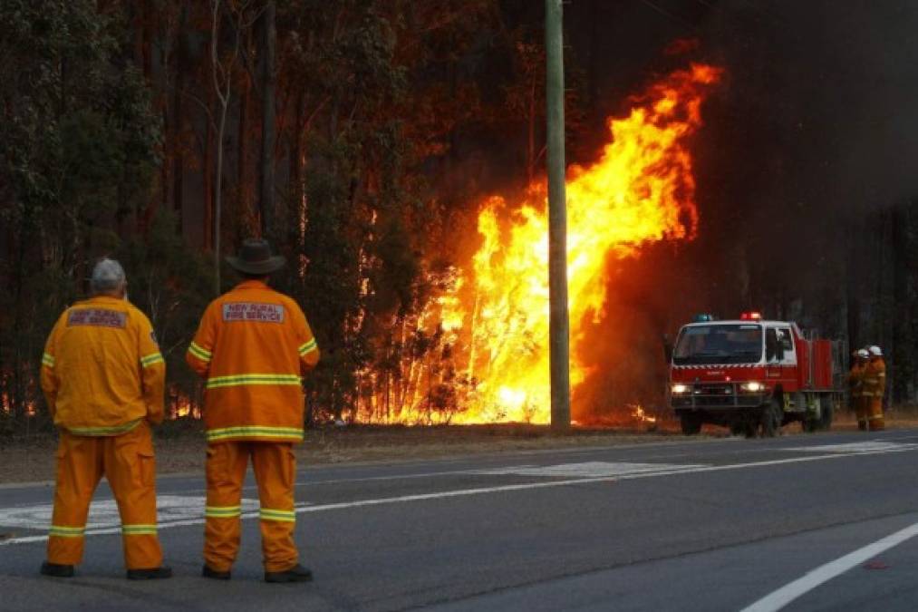 AUSTRALIA. Encantados por el fuego. Bomberos observan un foco de las llamas bajo control durante un incendio forestal en Richmond Vale.