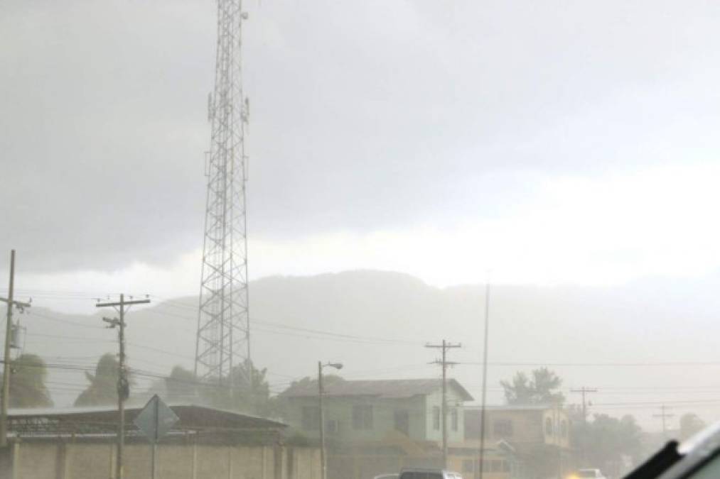 La tormenta con vientos huracanados ue duró cerca de media hora dejó árboles caídos y calles inundadas en el centro de San Pedro Sula.