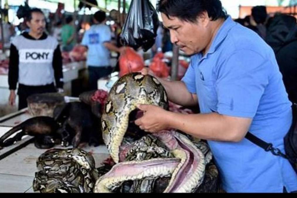 Las autoridades chinas de control de enfermedades identificaron a los animales silvestres que se vendían en el mercado de Wuhan como la génesis de la pandemia del coronavirus que deja más de 700,000 infectados en el mundo y ha asestado un duro golpe a la economía mundial.
