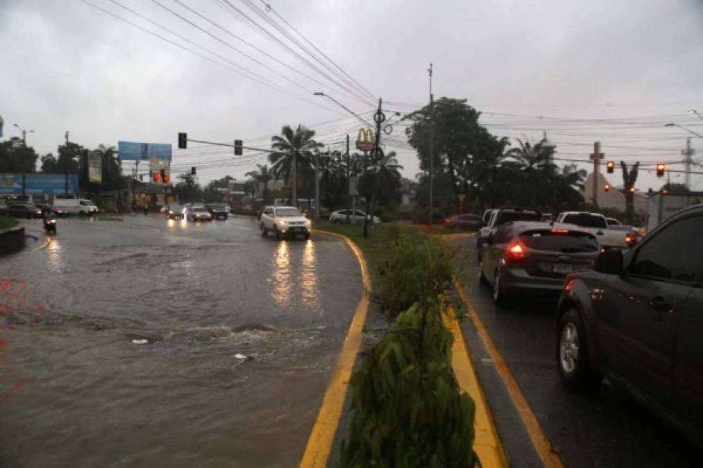 El agua anegó el lugar y provocó daños a varios vehículos que transitaban.