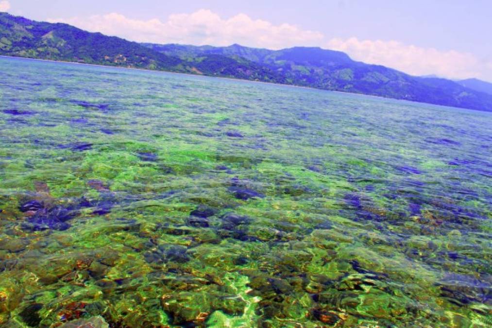Los arrecifes de coral de Cayo Blanco forman parte del arrecife Mesoamericano, considerado el segundo más grande en el mundo. Este atractivo que se encuentra frente a las costas del municipio de Santa Fe, hasta hace poco empezó a ser promocionado.