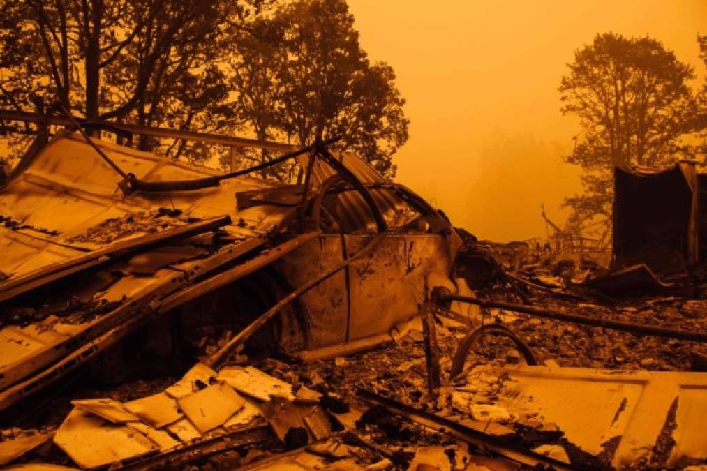 El cambio climático agrava las sequías, que crean las condiciones ideales para que el fuego se propague sin control e inflija daños sin igual. Según la Organización Meteorológica Mundial, entre 2014 y 2019, se registraron incendios forestales sin precedentes, especialmente en Europa y América del Norte.