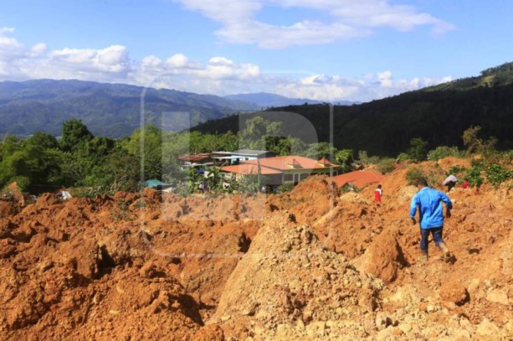 300 casas destruidas dejó la tormenta tropical Iota en la aldea La Reina, de Santa Bárbara, adonde un alud de tierra arrasó con las viviendas escuelas, iglesias, centro comunal y enseres.