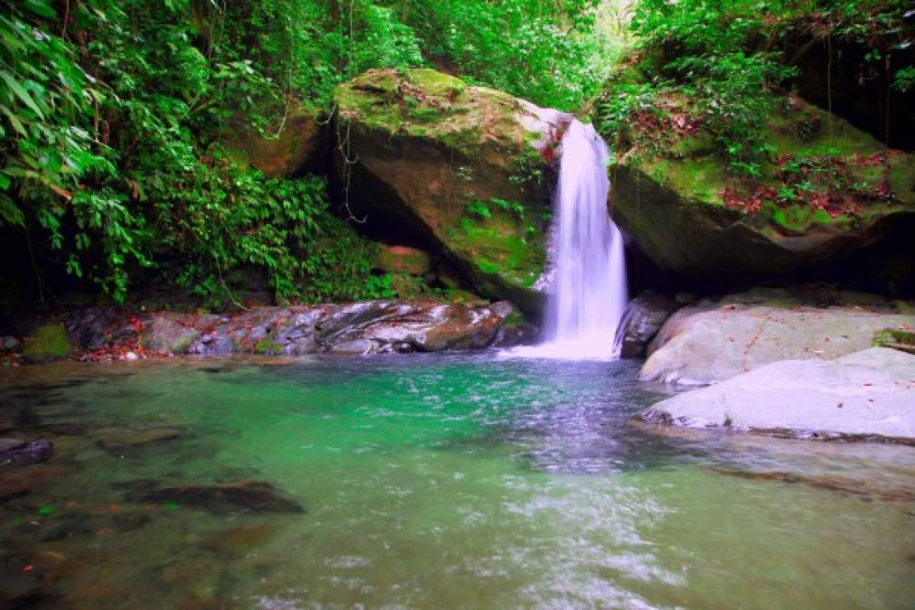 El eco parque Rawakala es un lugar que se ubica en la comunidad del Paraíso, Omoa, actualmente es el sitio perfecto para desaparecer del estrés la ciudad. En este lugar podrá encontrar pequeñas caídas de agua, canopy y mucha naturaleza.