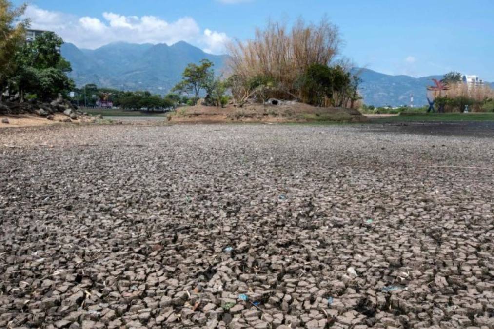 Según el Instituto Meteorológico Nacional, la mayor parte del territorio costarricense se ha visto afectado desde finales de 2018 por la presencia del fenómeno El Niño, que provoca una drástica disminución en las lluvias.