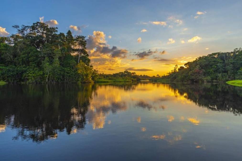 Estas son algunas claves de un paraíso ecológico que, en parte, está en llamas por causas no aclaradas, pero vinculadas a la sequía, la emergencia climática y la deforestación provocada por el ser humano.