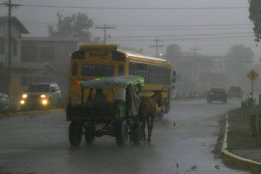 Foto: La Prensa